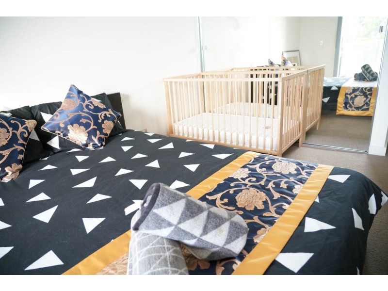 404/55 Norton Street, Ashfield NSW 2131