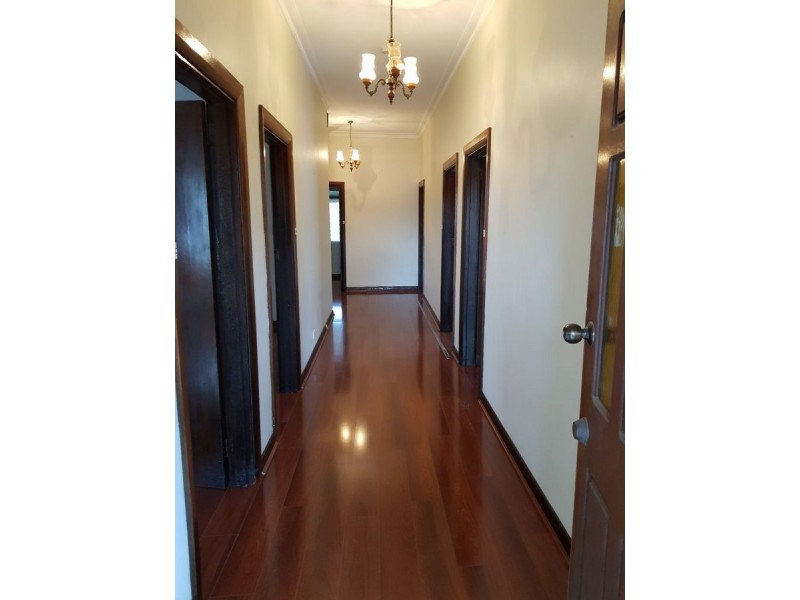 52 Jervois Avenue, West Hindmarsh SA 5007