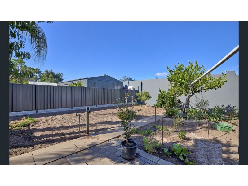 52 Jervois Avenue, West Hindmarsh SA 5007