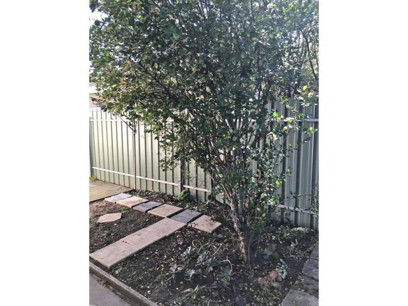 3/7 Sturdee Street, Broadview SA 5083