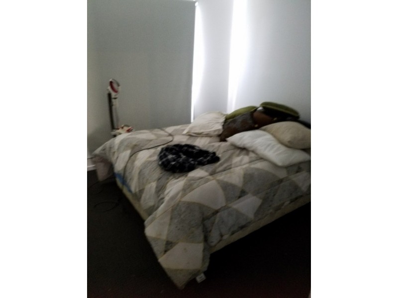 A/69 Brushbox Way, Peregian Springs QLD 4573
