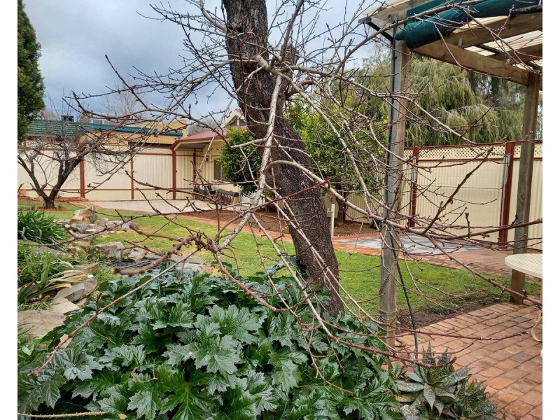 59a Seventh Avenue, St Peters SA 5069