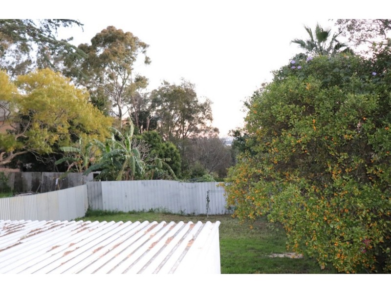 262 Blaxland Road, Ryde NSW 2112