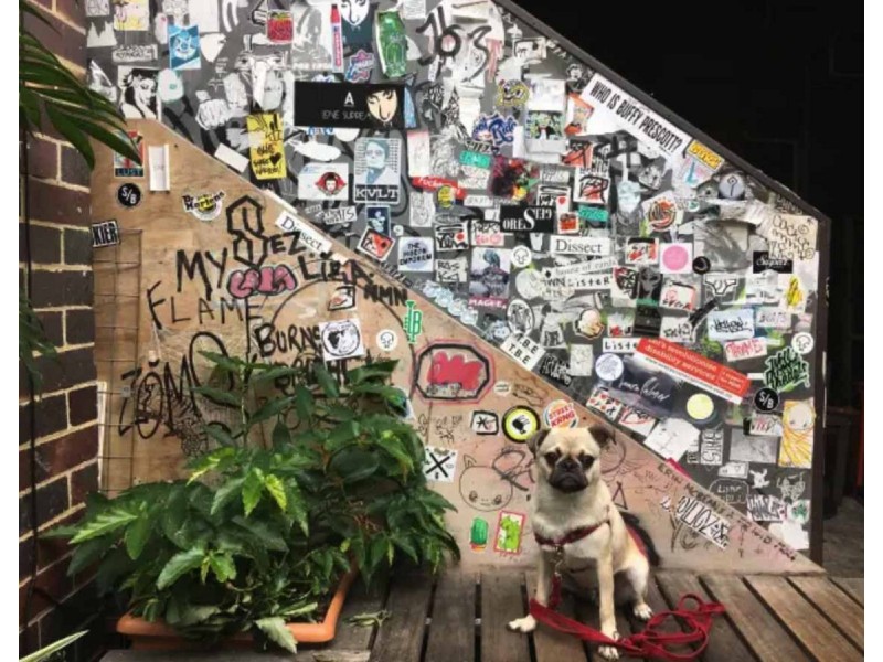 101/50 McLachlan Street, Fortitude Valley QLD 4006