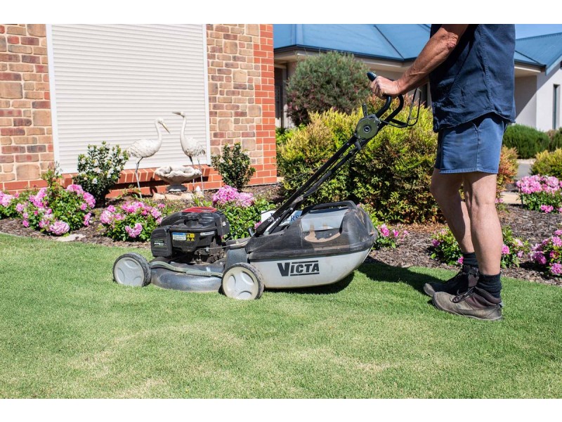 30 Murray Dyer Avenue, Renmark SA 5341