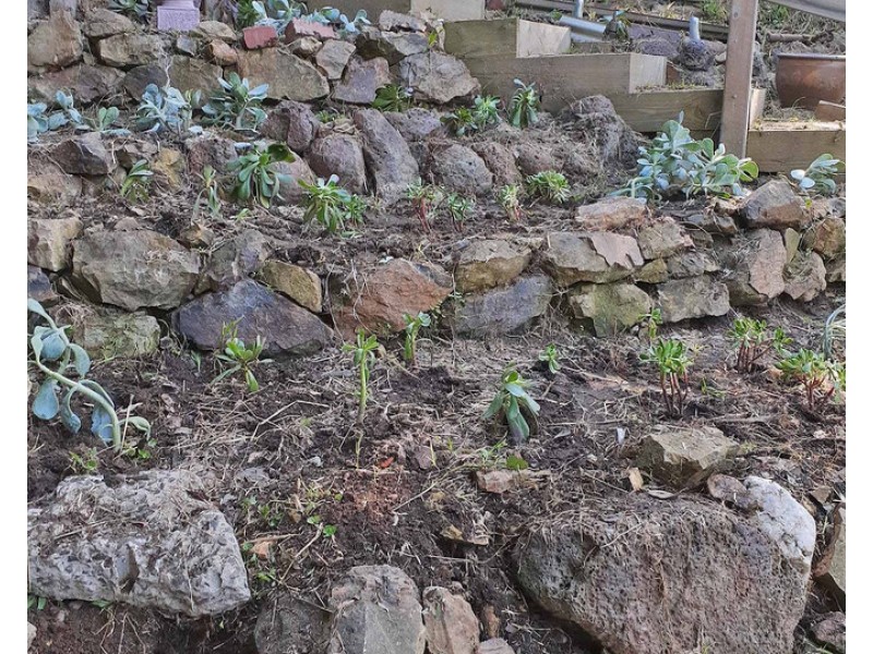 25 Professors Lane, North Warrandyte VIC 3113