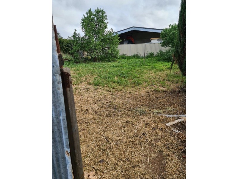 12 Morrell Street, Allenby Gardens SA 5009