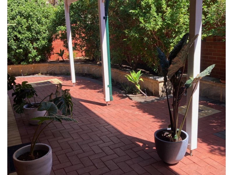 41 Coode Street, Mount Lawley WA 6050