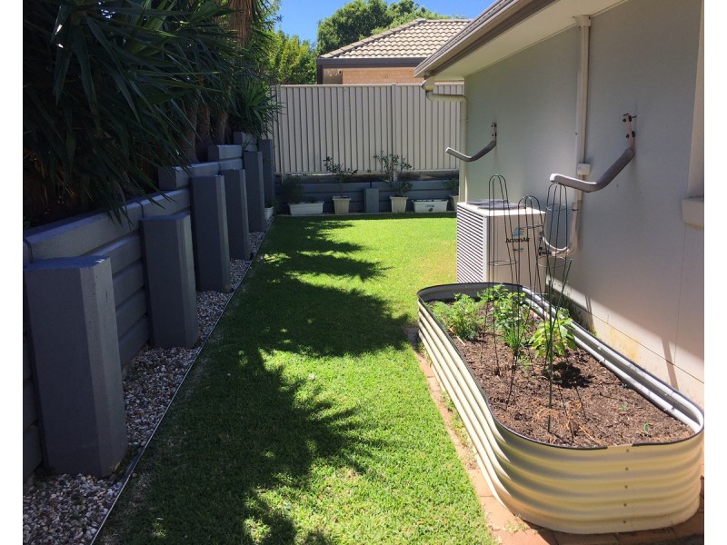 31 Jessielea Street, Wynnum West QLD 4178