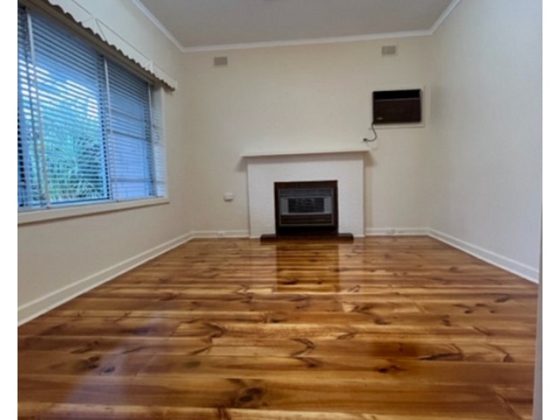 51 Collingwood Avenue, Flinders Park SA 5025