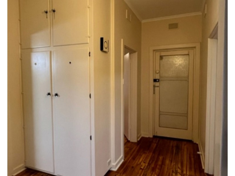 51 Collingwood Avenue, Flinders Park SA 5025