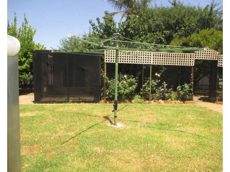 51 Collingwood Avenue, Flinders Park SA 5025