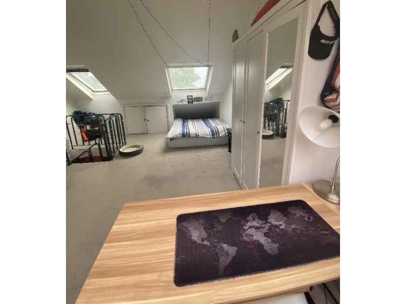 394 Moore Park Road, Paddington NSW 2021