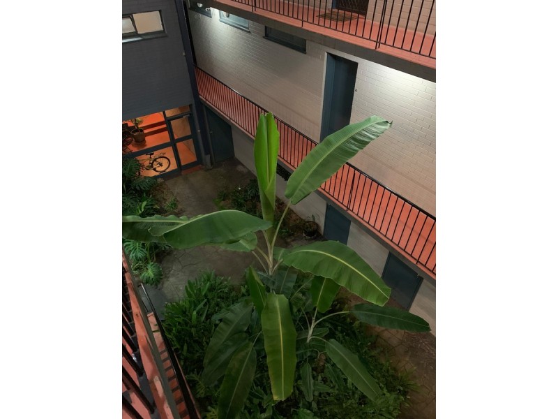 311 Dandenong Road, Prahran East VIC 3181