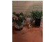 311 Dandenong Road, Prahran East VIC 3181