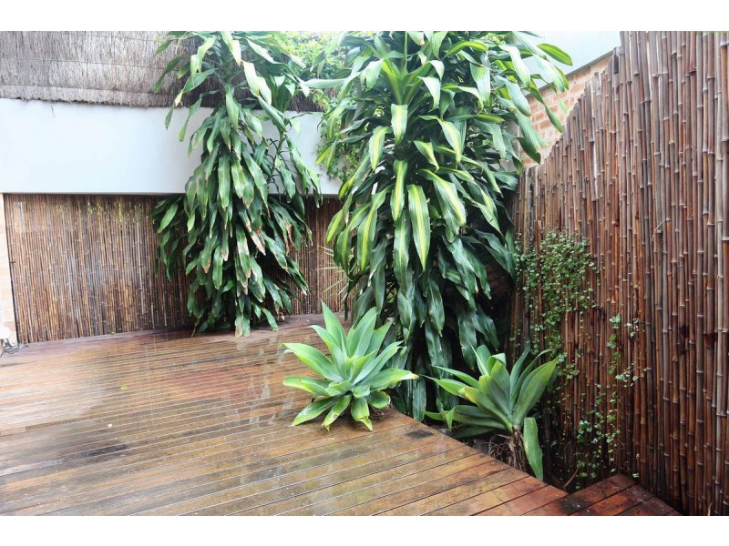 3/1-5 Manns Avenue, Neutral Bay NSW 2089