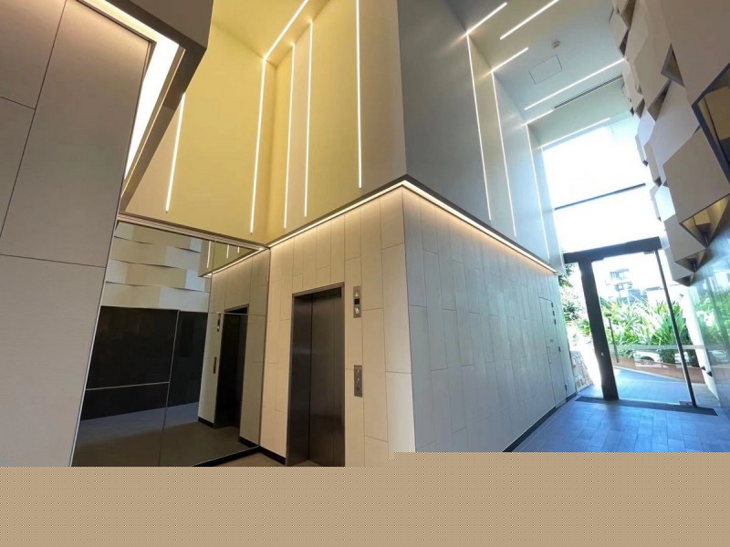 6602/162 Ross Street, Forest Lodge NSW 2037
