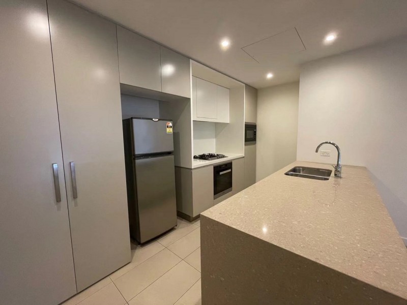 6602/162 Ross Street, Forest Lodge NSW 2037