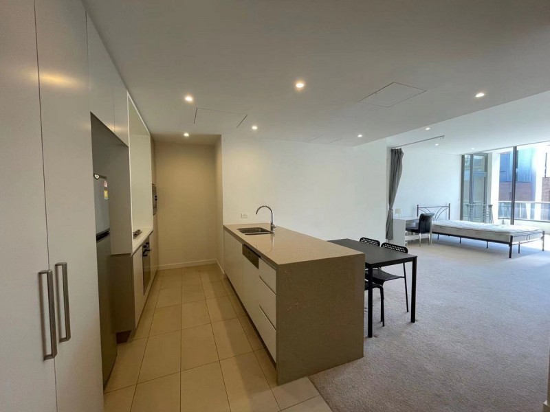 6602/162 Ross Street, Forest Lodge NSW 2037