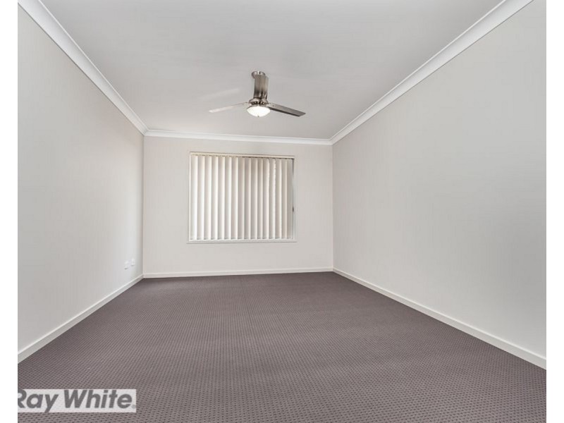 41 Macadamia Street, Mango Hill QLD 4509