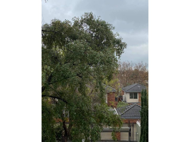 1/1139 Burke Road, Kew VIC 3101