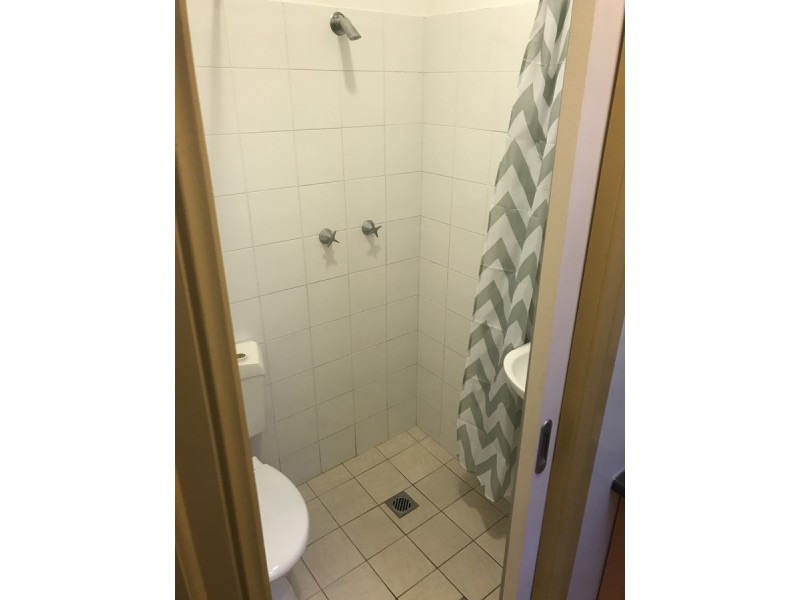 36 Carrington Road, Waverley NSW 2024