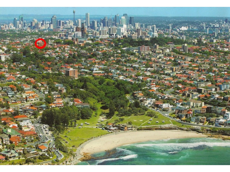 36 Carrington Road, Waverley NSW 2024