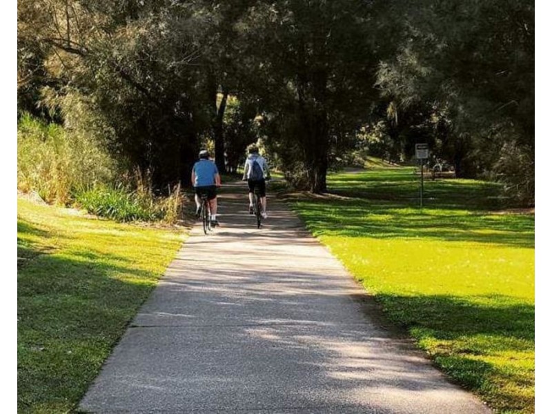 1 Ronald Avenue, Earlwood NSW 2206