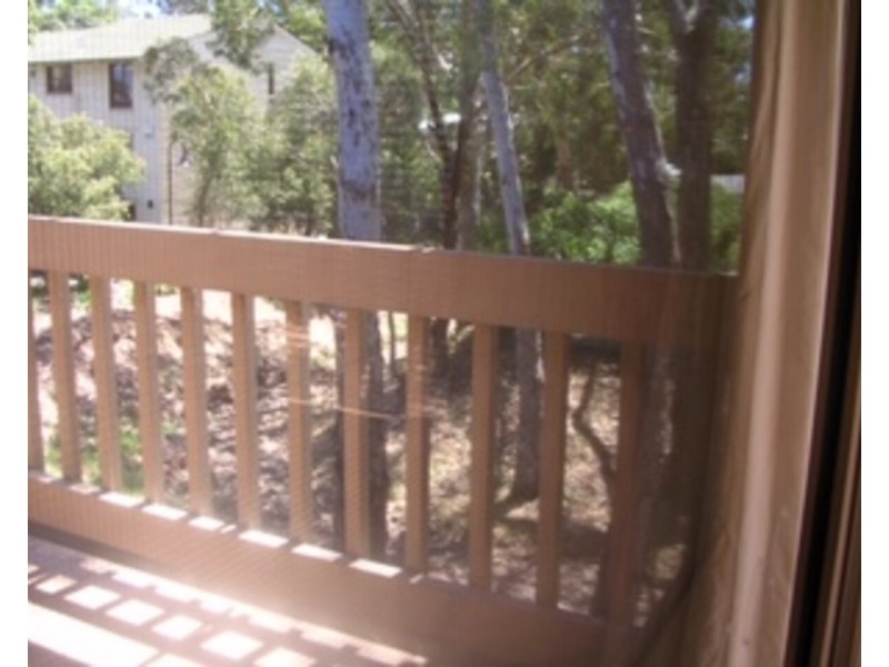 1/113 Edward Street, Norwood SA 5067