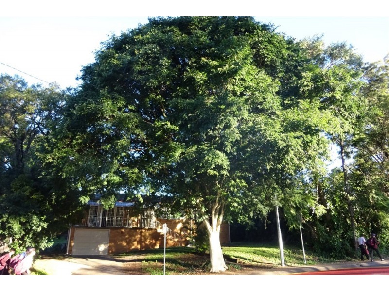 119 Lambert Road, Indooroopilly QLD 4068