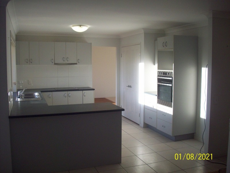 17 Delancey Street, Cleveland QLD 4163