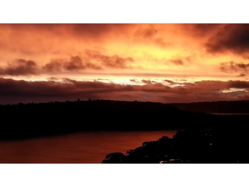 2/5 Parriwi Road, Mosman NSW 2088