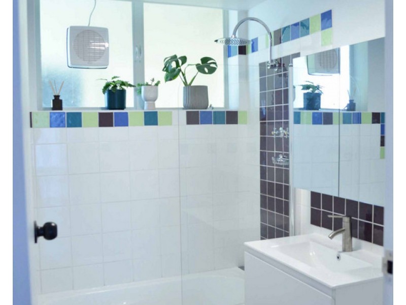 3/20 Cassie Street, Collinswood SA 5081