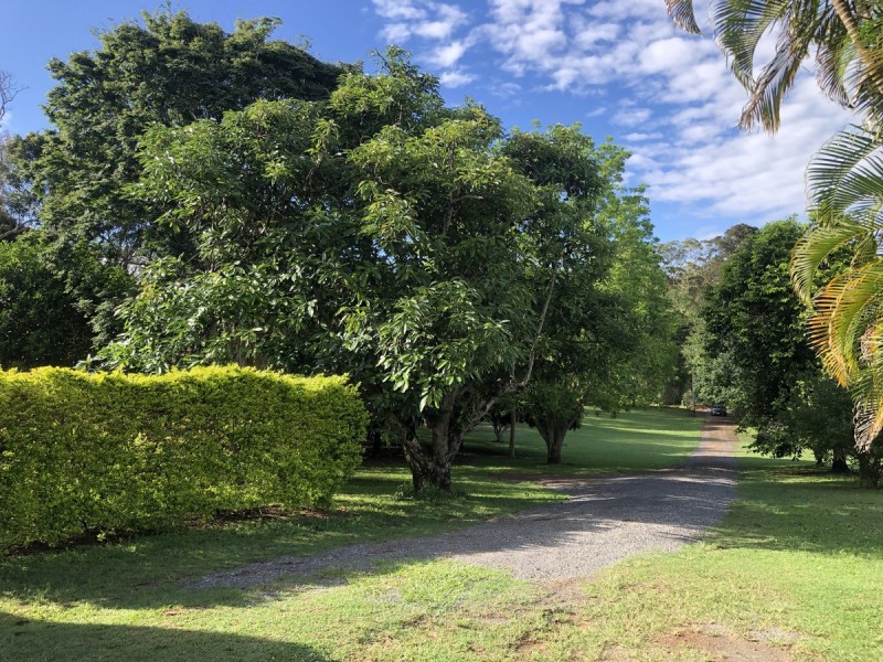 50 McKees Road, Palmwoods QLD 4555