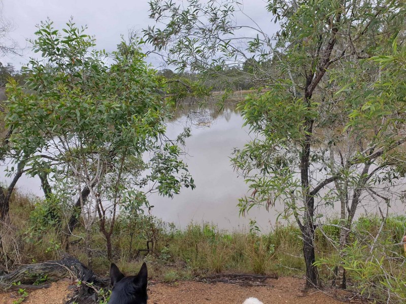 831 Rainbows Road, Kullogum QLD 4660