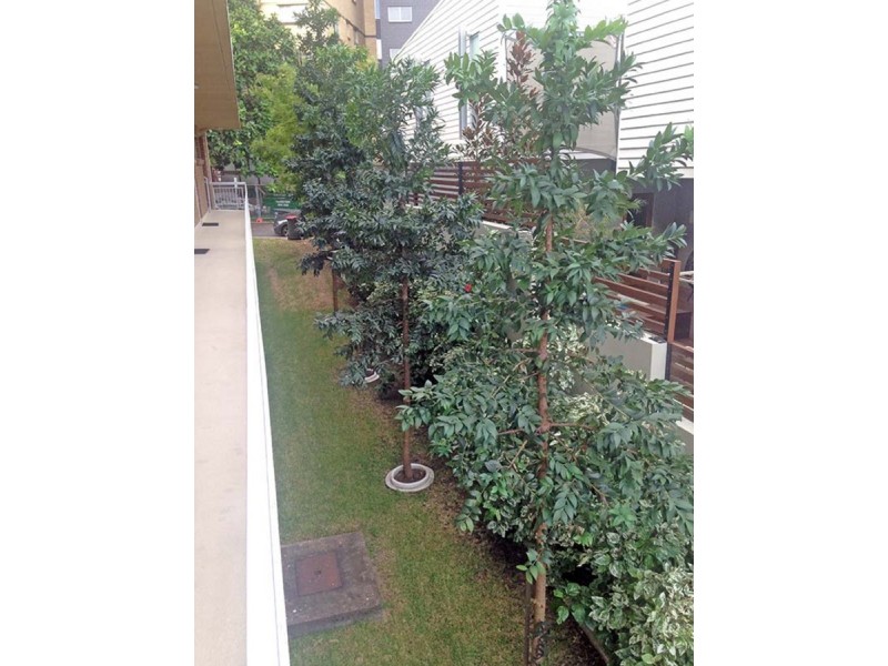 1/28 Maxwell Street, New Farm QLD 4005