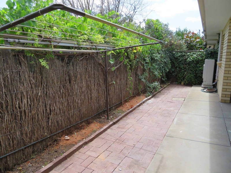 3/29 Sandford Street, Kensington Gardens SA 5068