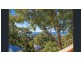 7 Sanctuary Crest Drive, Currumbin QLD 4223