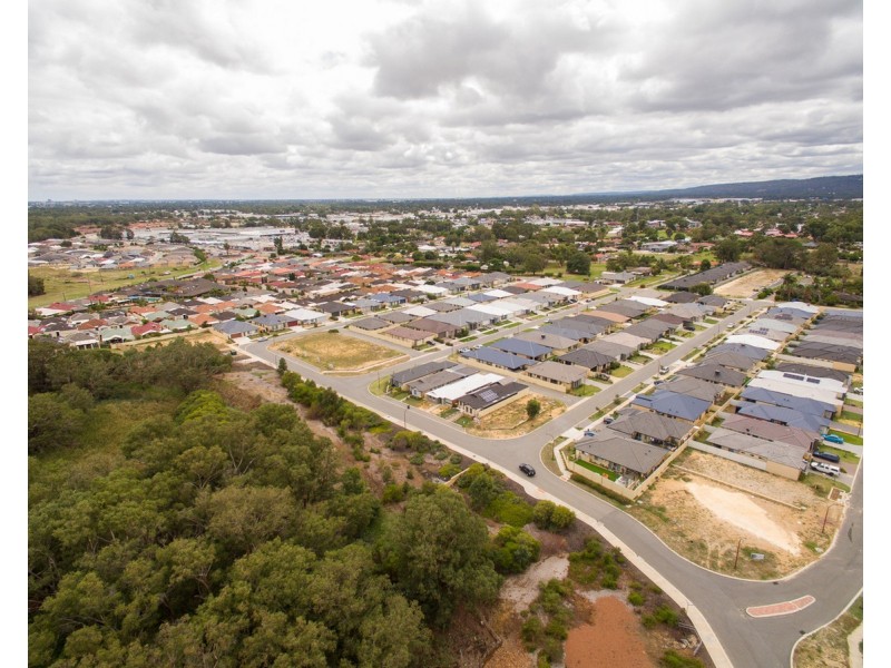 40 Cherrytree Chase, Maddington WA 6109