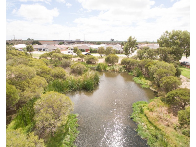 117 Sheffield Road, Wattle Grove WA 6107