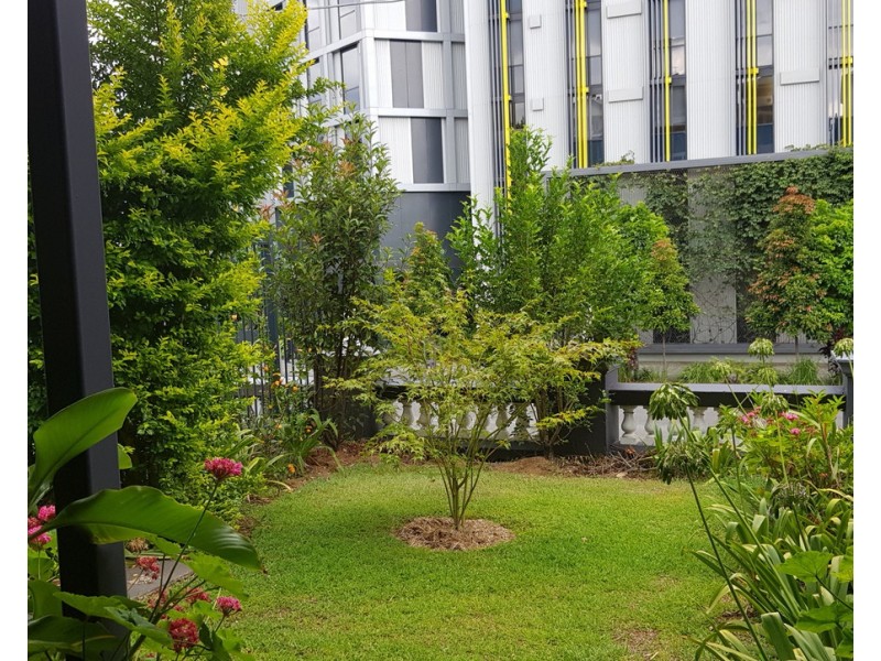 3/235 Vulture Street, South Brisbane QLD 4101