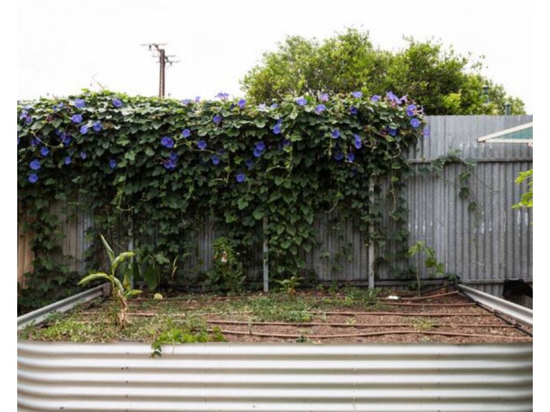 116 Gibson Street, Bowden SA 5007