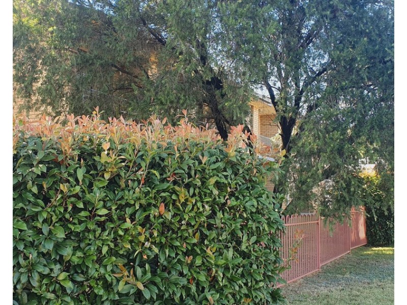 62 Young Street, Dubbo NSW 2830