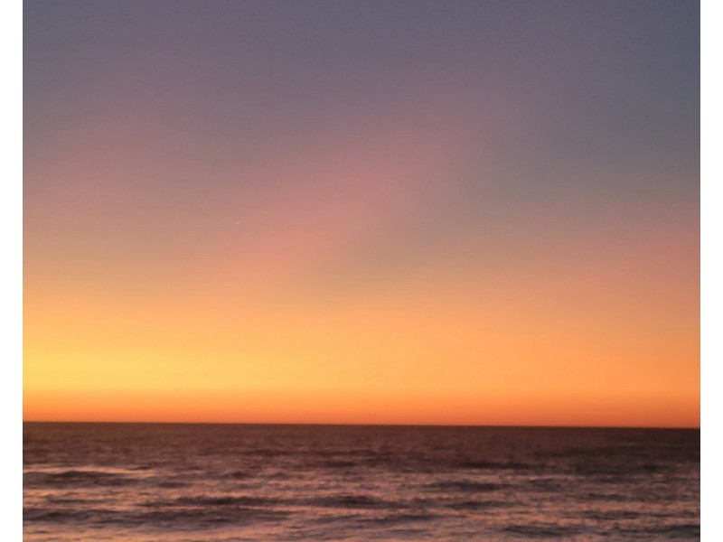 81 Tarlton Street, Somerton Park SA 5044