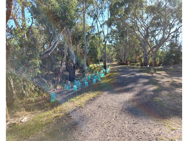 34 Greenway Drive, Surrey Downs SA 5126