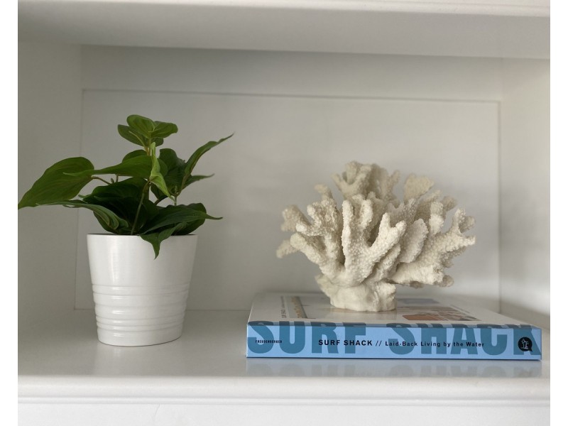 14/93 North Steyne, Manly NSW 2095