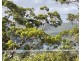 37 The Kingsview Drive, Umina Beach NSW 2257