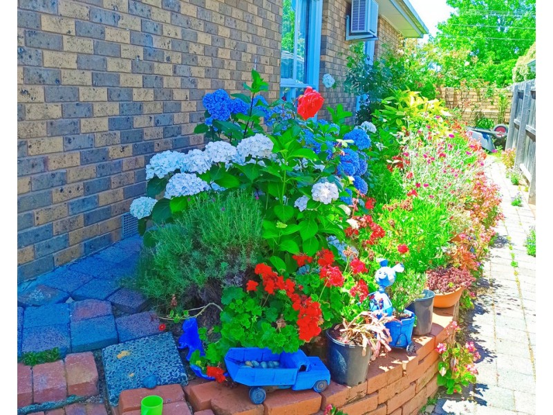 5 Nicholls Street, Macleod VIC 3085