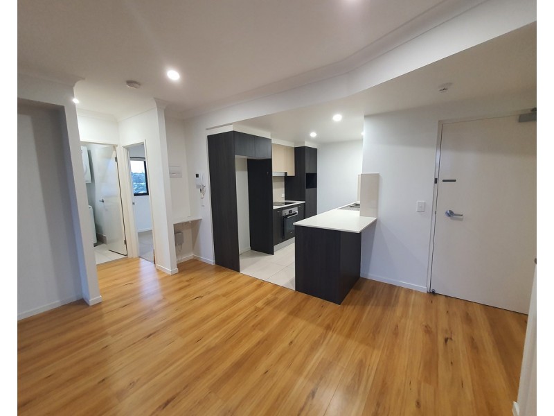 20 Grout Street, Macgregor QLD 4109