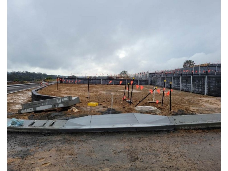 100 Danbulla Street, South Ripley QLD 4306